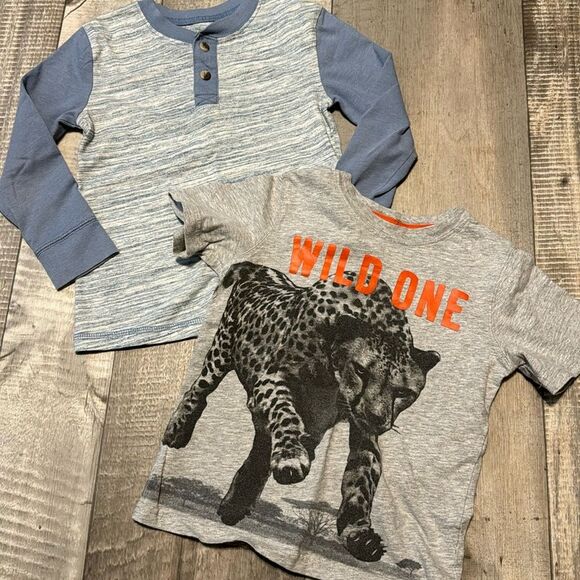 5‎ pc LOT BOY SHIRTS size 4T - Picture 5 of 8